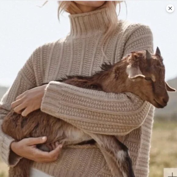 Garnet Hill | Cashmere Chunky Knit Turtleneck Sweater, Sz M* ♥ EUC - Picture 4 of 8